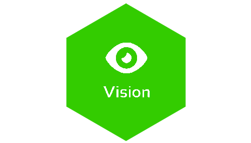 Vision